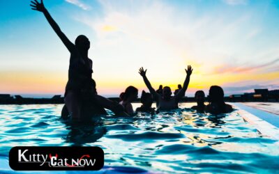 Ultimate June Bachelor Party Ideas in Milwaukee: Sun, Fun, and Stunning Strippers