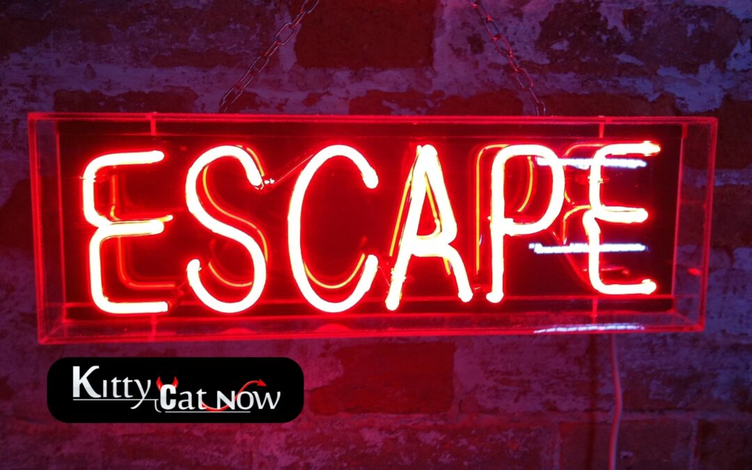 Escape the Ordinary: How to Throw a Bachelor Party He’ll Never Forget in Milwaukee