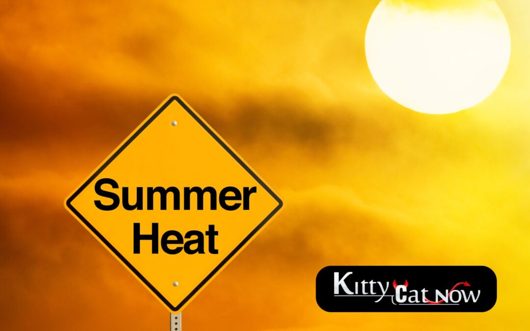 How to Heat Up Your Summer Parties with Exotic Dancers in Milwaukee