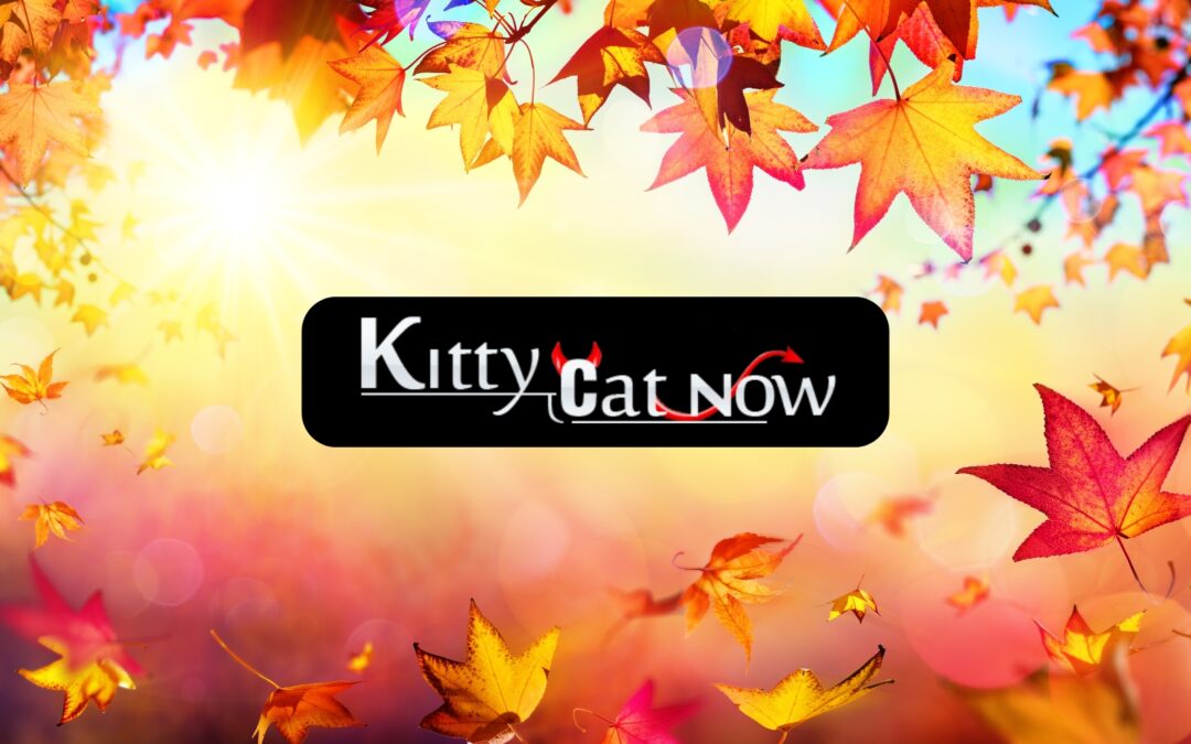 Why Fall Is the Best Season for Bachelor & Bachelorette Parties in Milwaukee