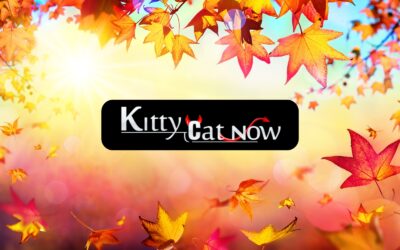 Why Fall Is the Best Season for Bachelor & Bachelorette Parties in Milwaukee