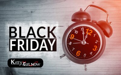 Black Friday Party Ideas: Celebrate Big with Exotic Dancers in Milwaukee