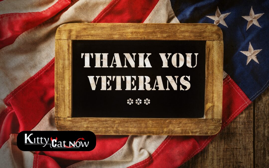 Veterans Day Ideas: Private Entertainers Bring the Party to You in Milwaukee