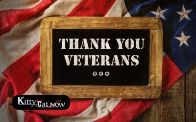 Veterans Day Ideas: Private Entertainers Bring the Party to You in Milwaukee