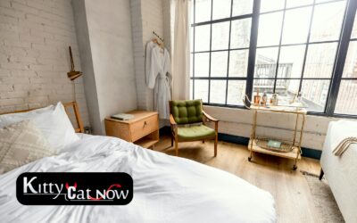 Planning a Private Airbnb Party with Strippers in Milwaukee