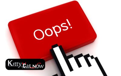 Top Mistakes to Avoid When Booking Strippers in Milwaukee