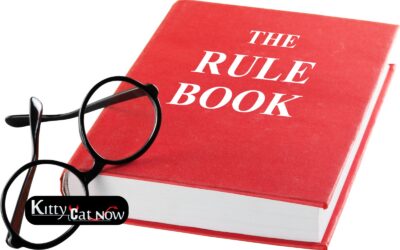 Bachelor Party House Rules in Milwaukee Before the Strippers Arrive