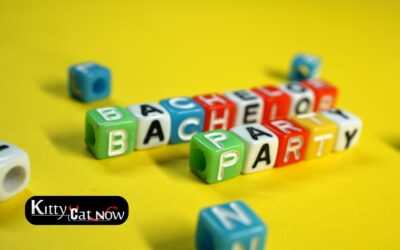 Bachelor Party House Rules in Milwaukee: Set the Right Vibe Before the Entertainment Arrives