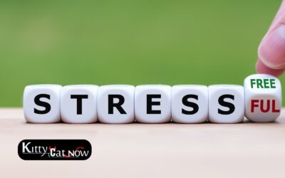 Hosting Private Party Entertainment at Home in Milwaukee: A Stress-Free Guide