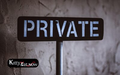 Why Private Party Entertainment Beats the Club Scene in Milwaukee