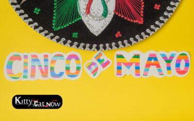 Cinco de Mayo Party Ideas in Milwaukee: Tacos, Tequila & Private Strippers