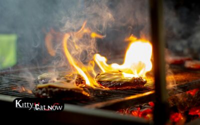 Memorial Day Party Ideas in Milwaukee: BBQ, Private Entertainment & VIP Vibes