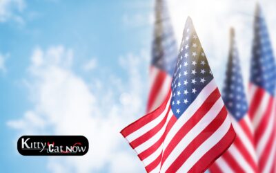 Memorial Day Party Ideas in Milwaukee with Strippers