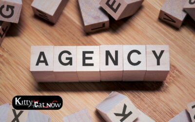 How to Choose a Legit Stripper Agency in Milwaukee