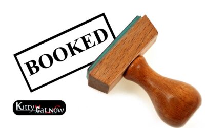 When to Book Strippers in Milwaukee (Peak Times)