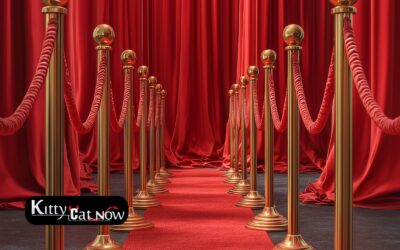 Why Booking Strippers in Milwaukee Creates a VIP Experience