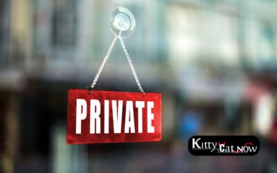 Strippers in Milwaukee: Why Private Entertainment is the New Standard