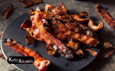 Boobs & Bacon in Milwaukee: The Ultimate Sunday Morning Bachelor Party Experience