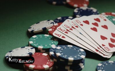 Poker Night Upgrade: Private Entertainment for Your Milwaukee Home Game