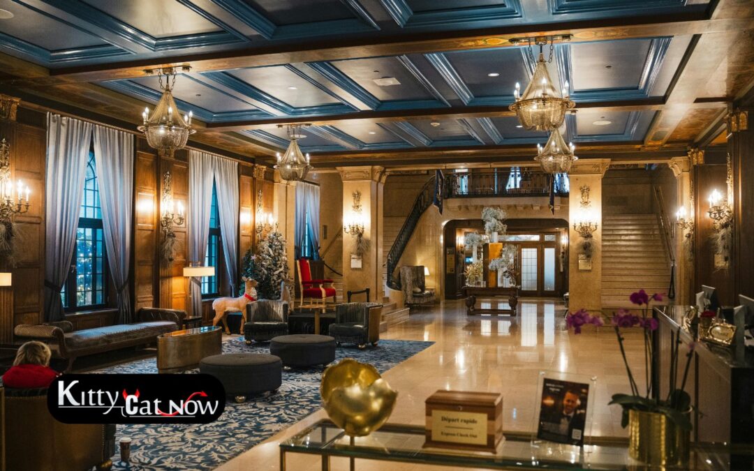 Hotel Suite vs. House Rental: Where to Host Your Milwaukee Bachelor Party