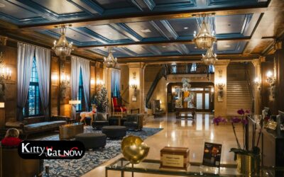 Hotel Suite vs. House Rental: Where to Host Your Milwaukee Bachelor Party